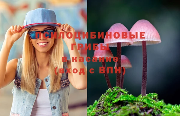 Альфа ПВП Арсеньев