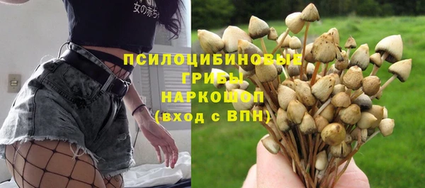 Альфа ПВП Арсеньев